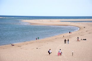 Summer day at the beach