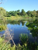 Shawme Lake in Sandwich, MA